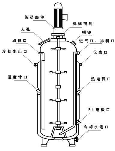 發(fā)酵罐結(jié)構(gòu)